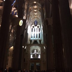 IMG 349
